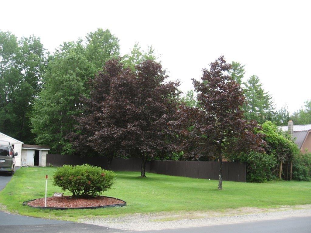 58 Main Street Roxbury, ME 04275 - Photo 17 of 18 Photo