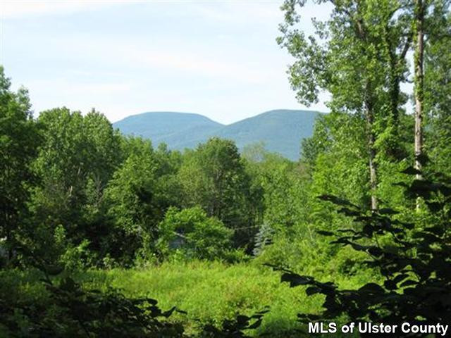 220 Red Mill Road, Unit GREENVILLE Freehold, NY 12431 - Photo 2 of 7 Photo 2