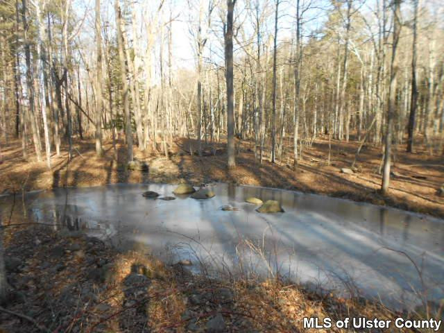 220 Red Mill Road, Unit GREENVILLE Freehold, NY 12431 - Photo 3 of 7 Photo 3