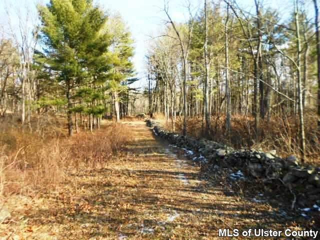 220 Red Mill Road, Unit GREENVILLE Freehold, NY 12431 - Photo 4 of 7 Photo 4