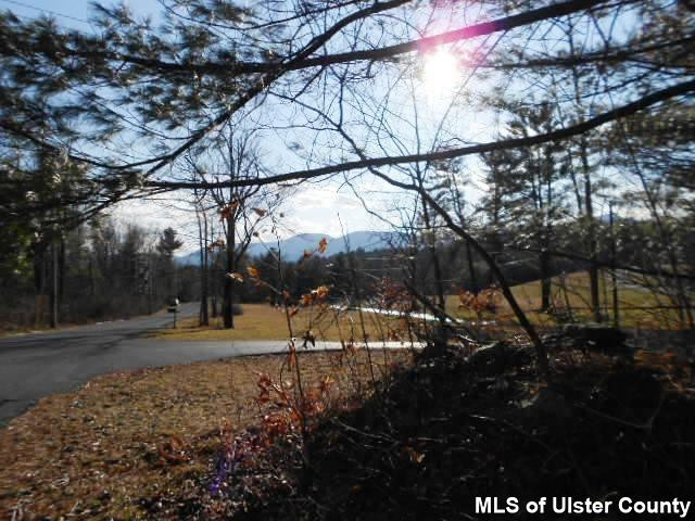220 Red Mill Road, Unit GREENVILLE Freehold, NY 12431 - Photo 5 of 7 Photo 5