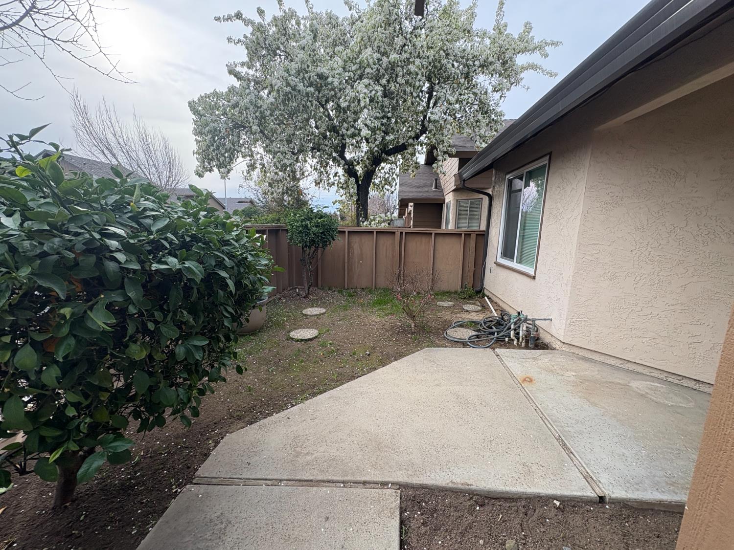 1829 Oak Leaf Drive Modesto, CA 95354 - Photo 2 of 31 a backyard of a house with lots of green space