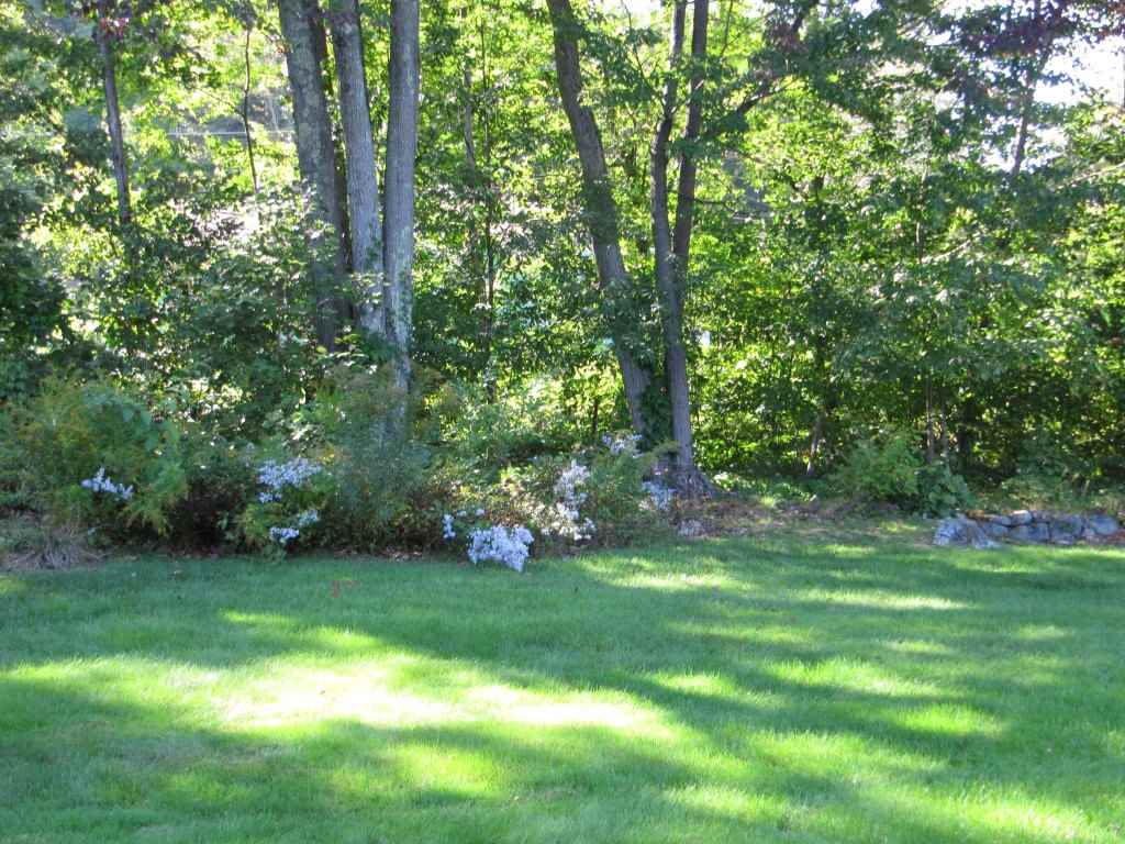 151 Ridgefield Drive Milford, NH 03055 - Photo 19 of 26 Gallery Image 19