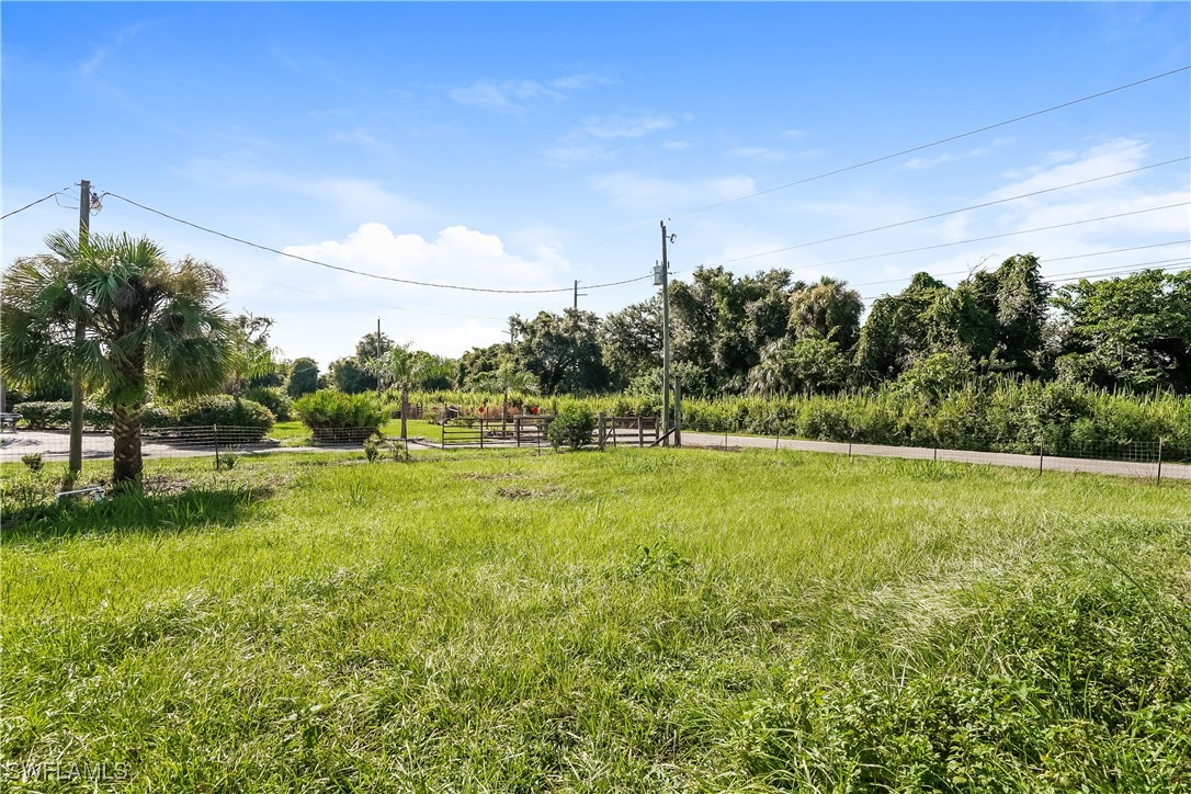 16981 First Street Alva, FL 33920 - Photo 16 of 16 a view of a green field