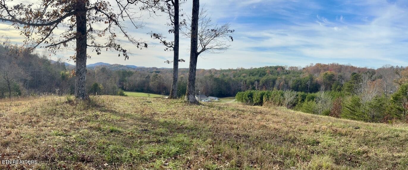 2 Three Point Road Vonore, TN 37885 - Photo 8 of 13 Gallery Image 8