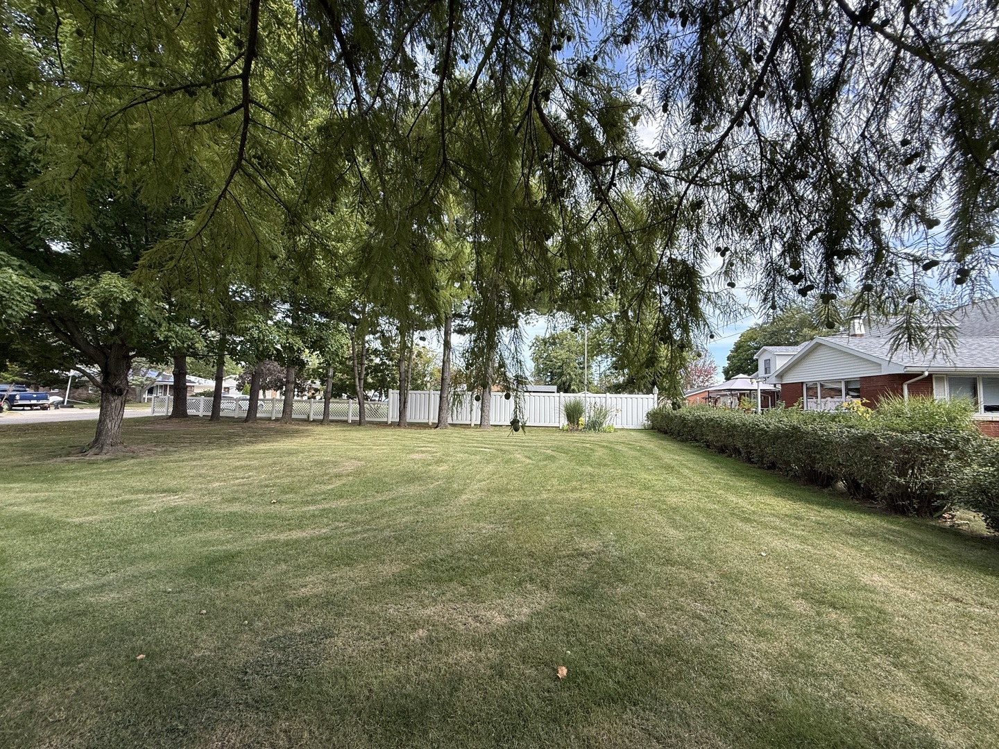 1029 West 4th Street Spring Valley, IL 61362 - Photo 3 of 27 a view of outdoor space with deck and trees