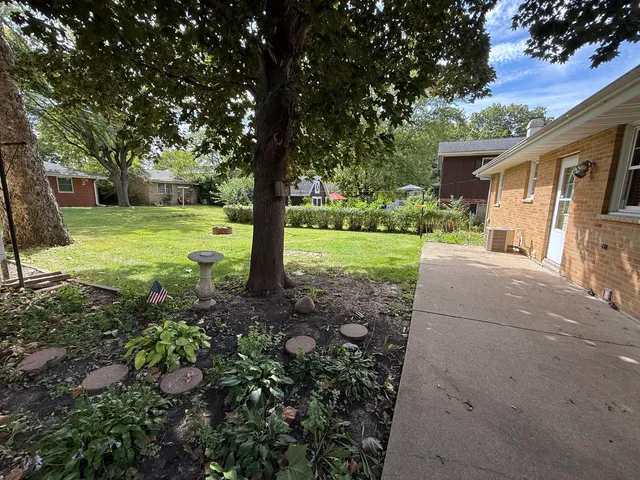 a view of a yard with plants and a tree