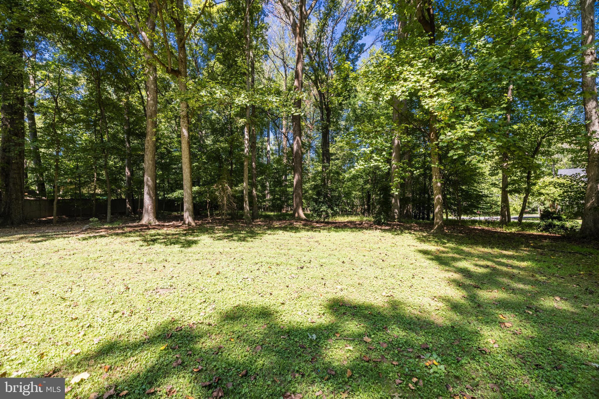 2548 Five Oaks Road Vienna, VA 22181 - Photo 64 of 101 Gallery Image 64