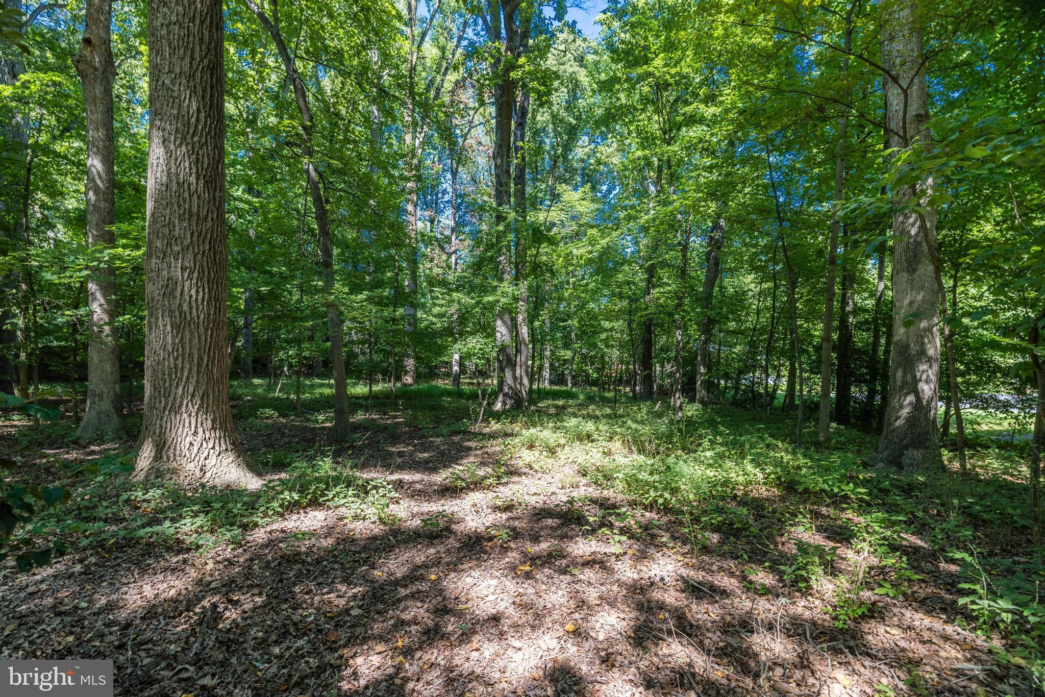 2548 Five Oaks Road Vienna, VA 22181 - Photo 65 of 101 Gallery Image 65