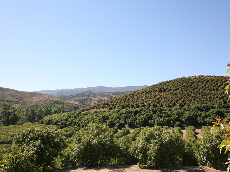 575 Refugio Road Goleta, CA 93117 - Photo 5 of 6 a view of a large building
