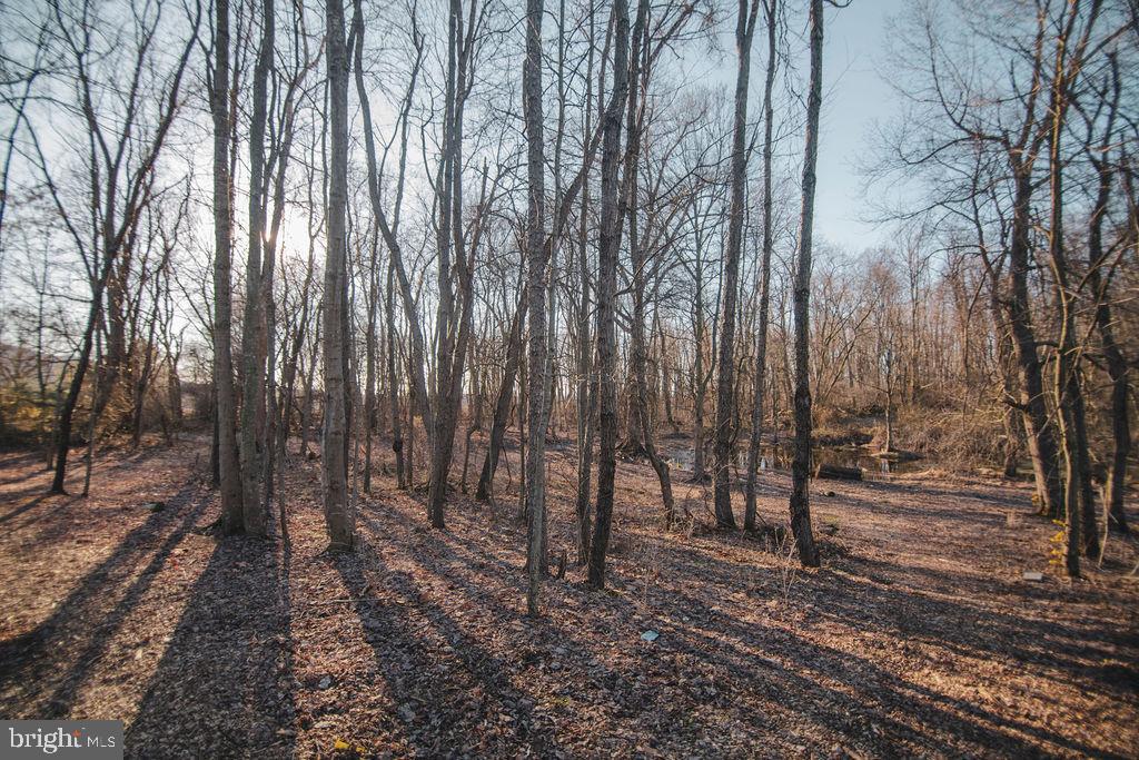 24 Cold Springs Road Carlisle, PA 17015 - Photo 58 of 60 Gallery Image 58