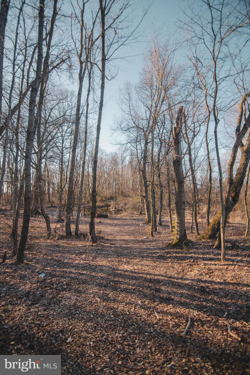 24 Cold Springs Road Carlisle, PA 17015 - Photo 59 of 60 Gallery Image 59