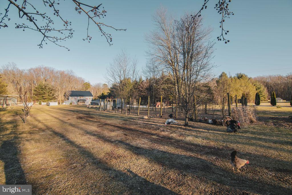 24 Cold Springs Road Carlisle, PA 17015 - Photo 60 of 60 Gallery Image 60