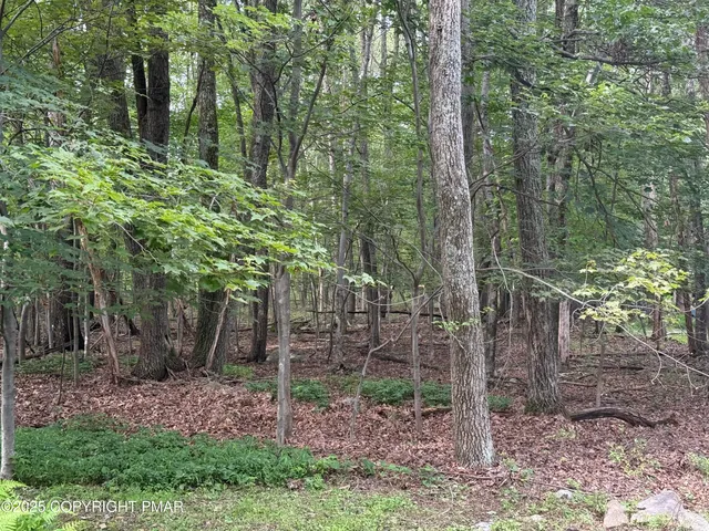 $20,000 | 33 Lane Kunkletown Pa, Kunkletown, PA 18058