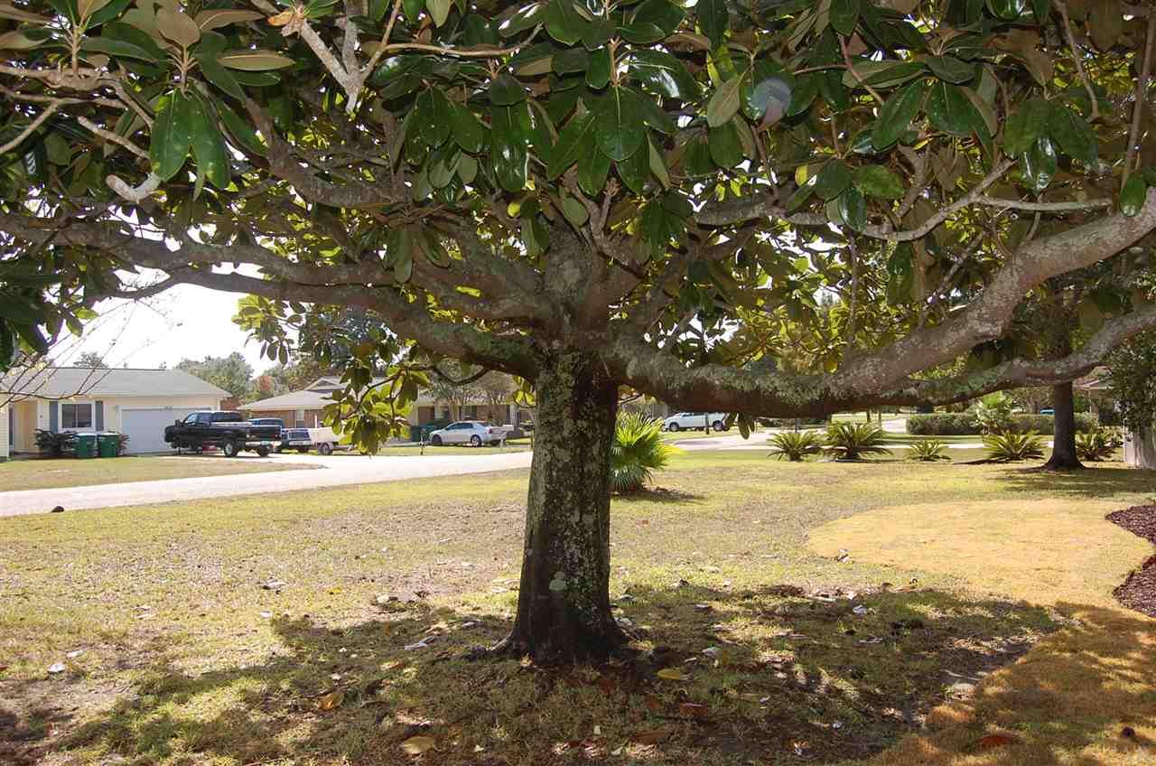 3021 Ranchette Square Gulf Breeze, FL 32563 - Photo 37 of 38 great climbing & swing tree
