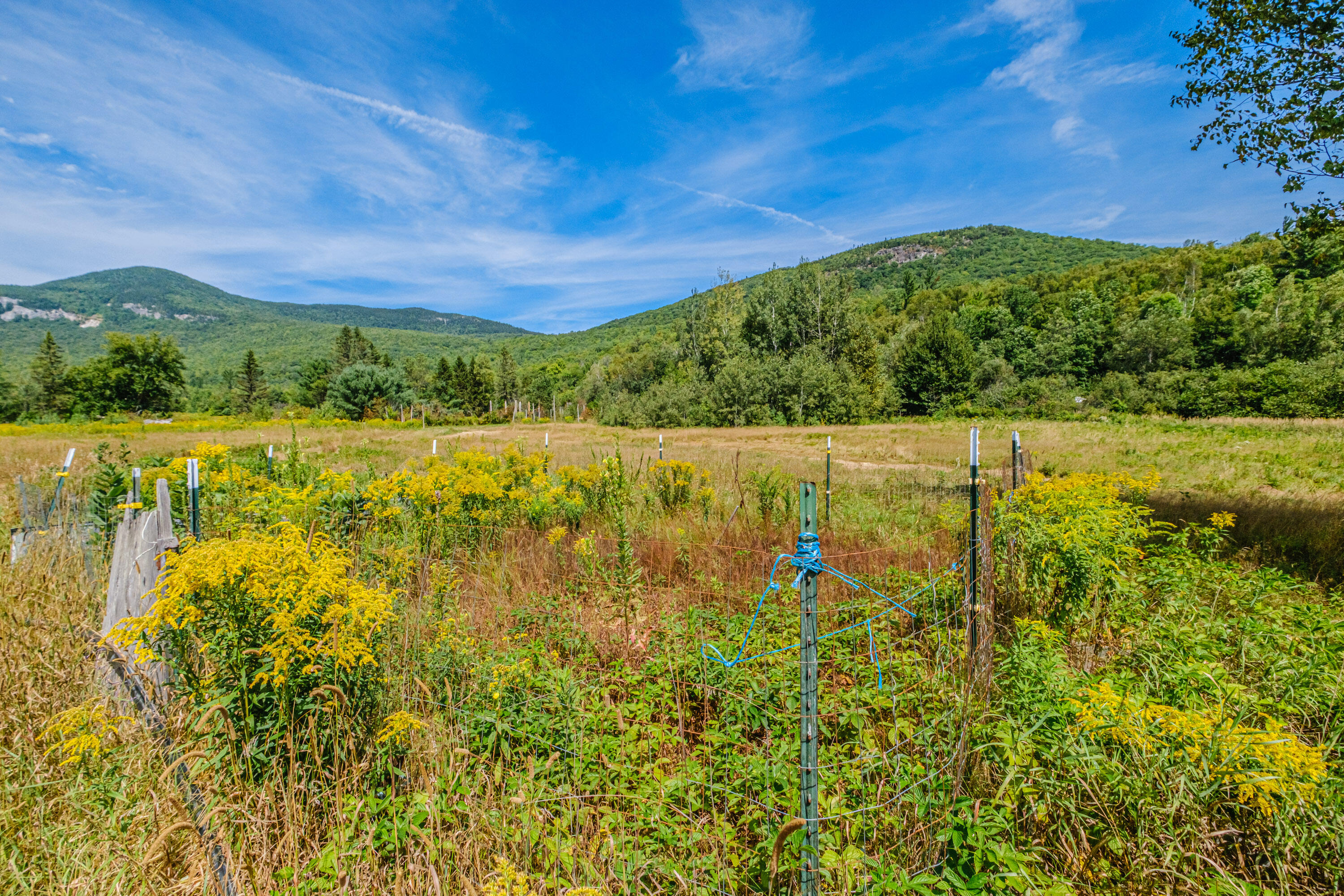 1513 Bear River Road Newry, ME 04261 - Photo 71 of 77 20250818gp-62093