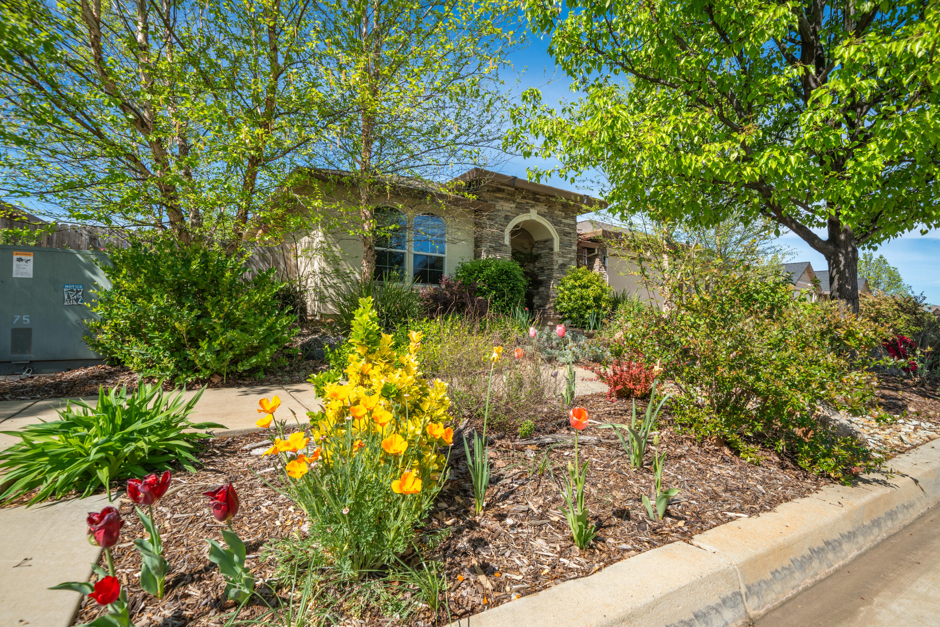 3415 Hotlam Road Redding, CA 96002 - Photo 63 of 63 Front landscaping