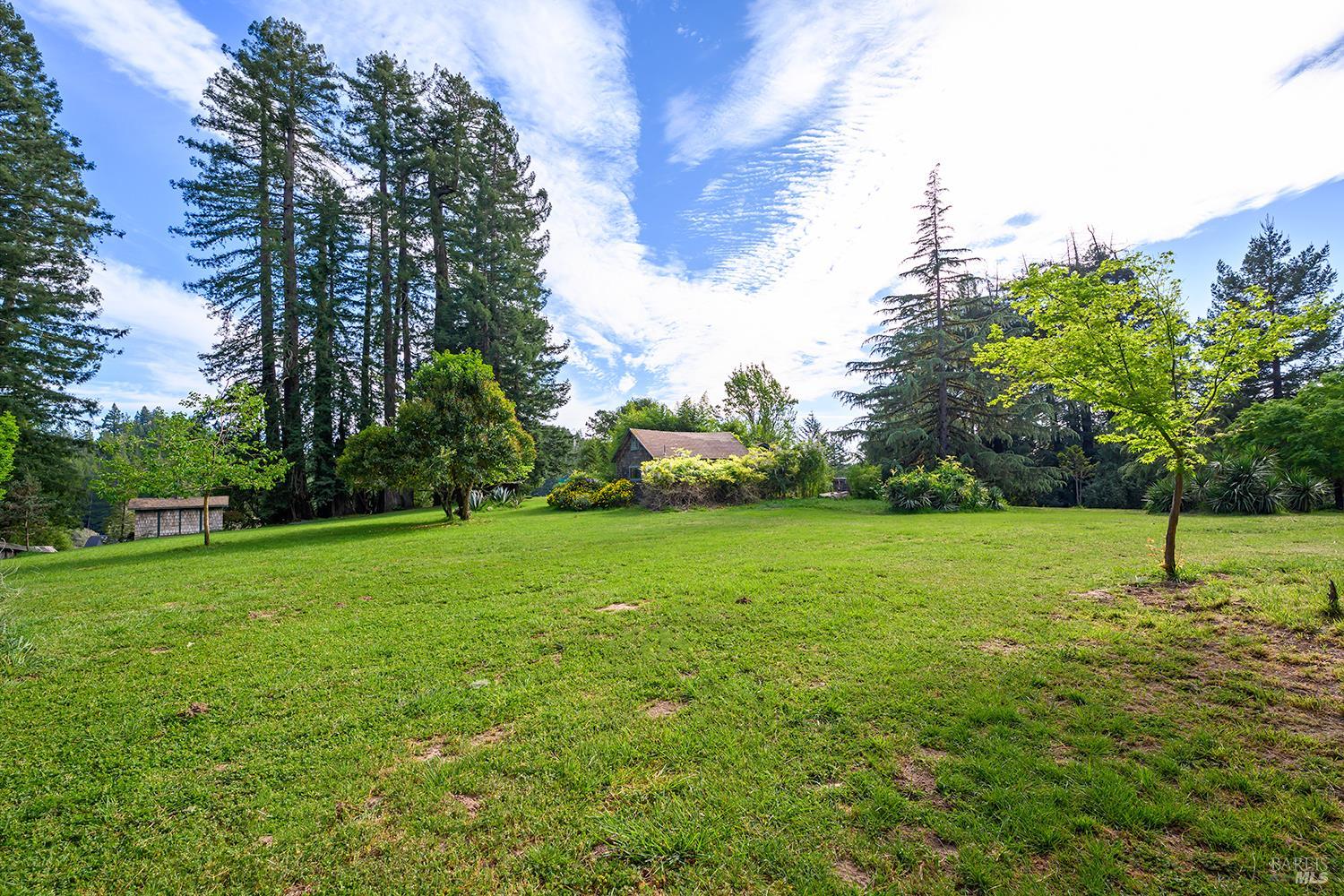 3580 Joy Road Occidental, CA 95465 - Photo 3 of 49