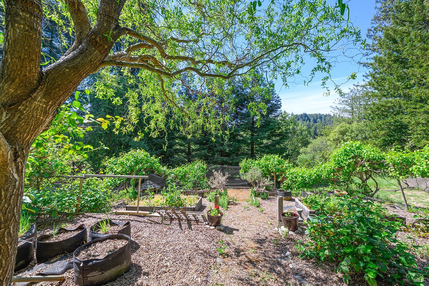 3580 Joy Road Occidental, CA 95465 - Photo 36 of 49