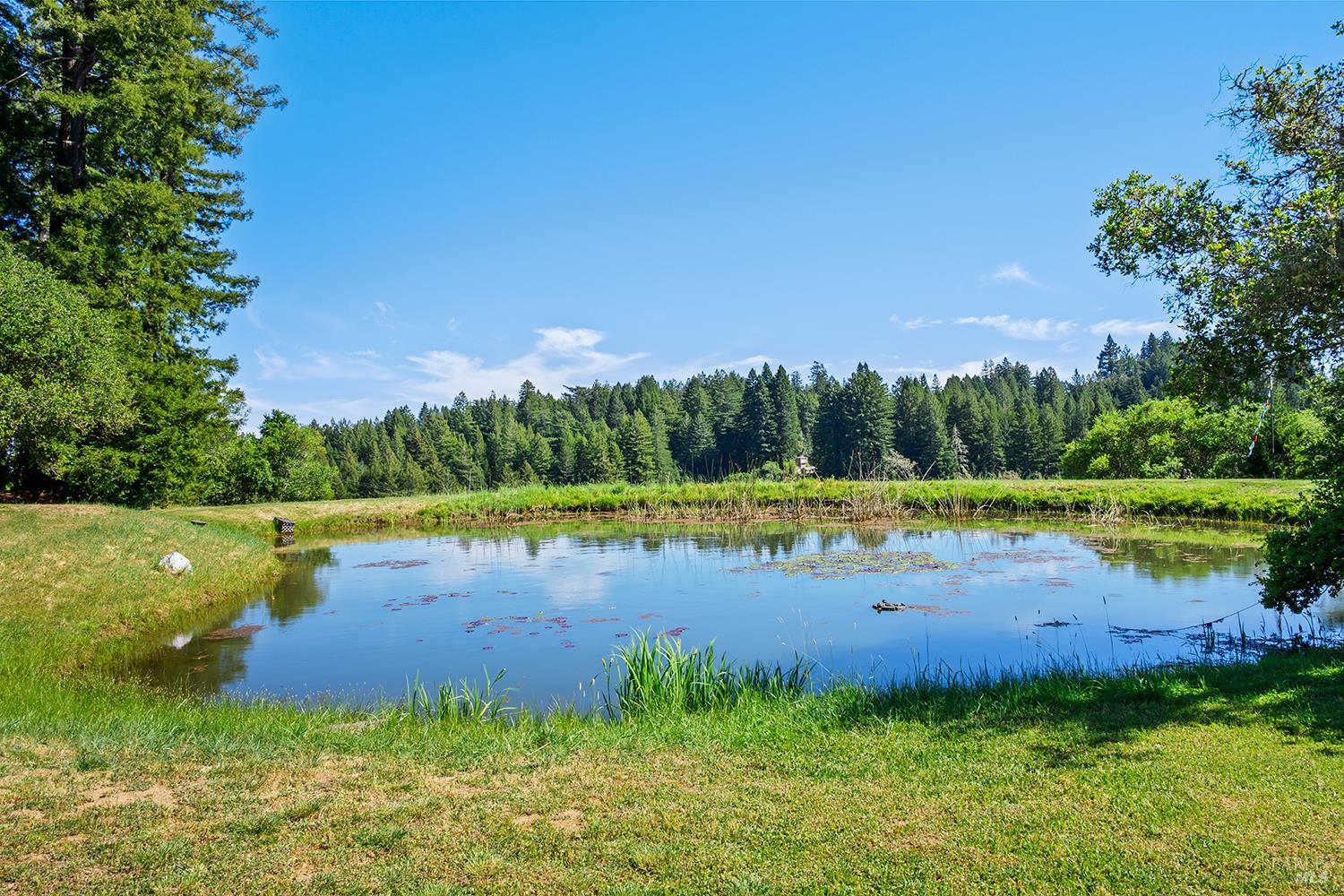 3580 Joy Road Occidental, CA 95465 - Photo 38 of 49