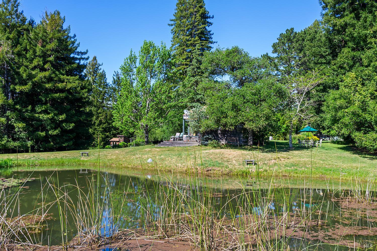 3580 Joy Road Occidental, CA 95465 - Photo 40 of 49