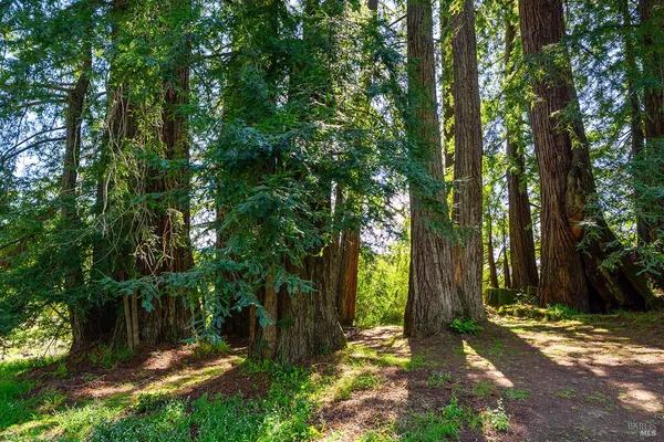 $1,195,000 | 3580 Joy Road, Occidental, CA 95465