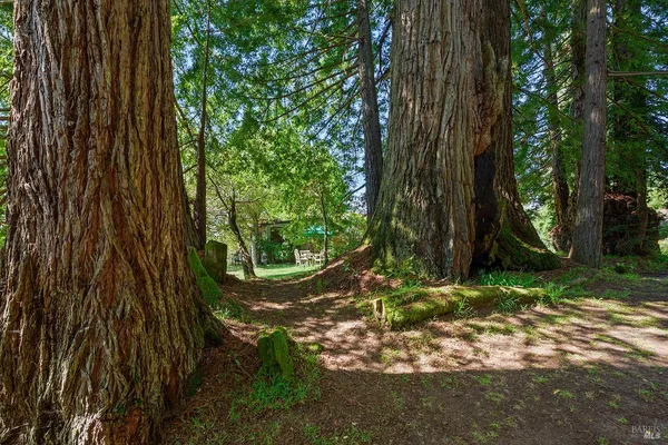 $1,195,000 | 3580 Joy Road, Occidental, CA 95465