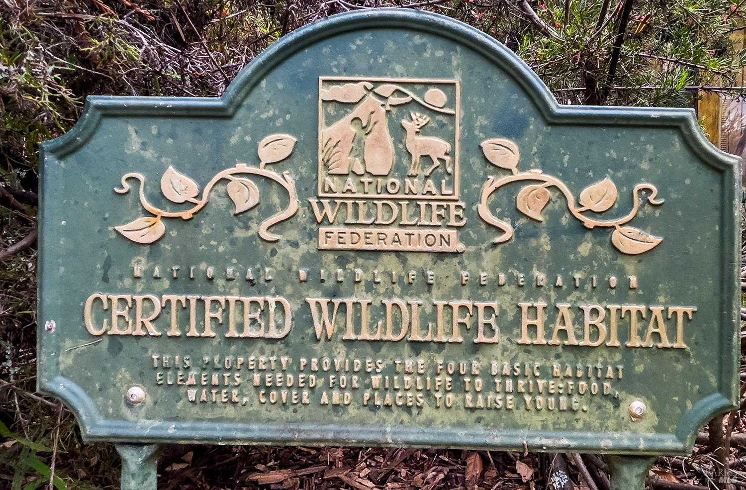 3580 Joy Road Occidental, CA 95465 - Photo 44 of 49