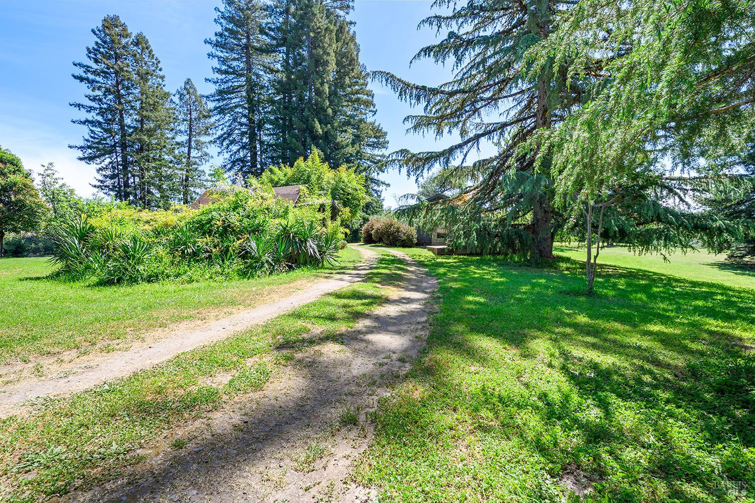 3580 Joy Road Occidental, CA 95465 - Photo 45 of 49