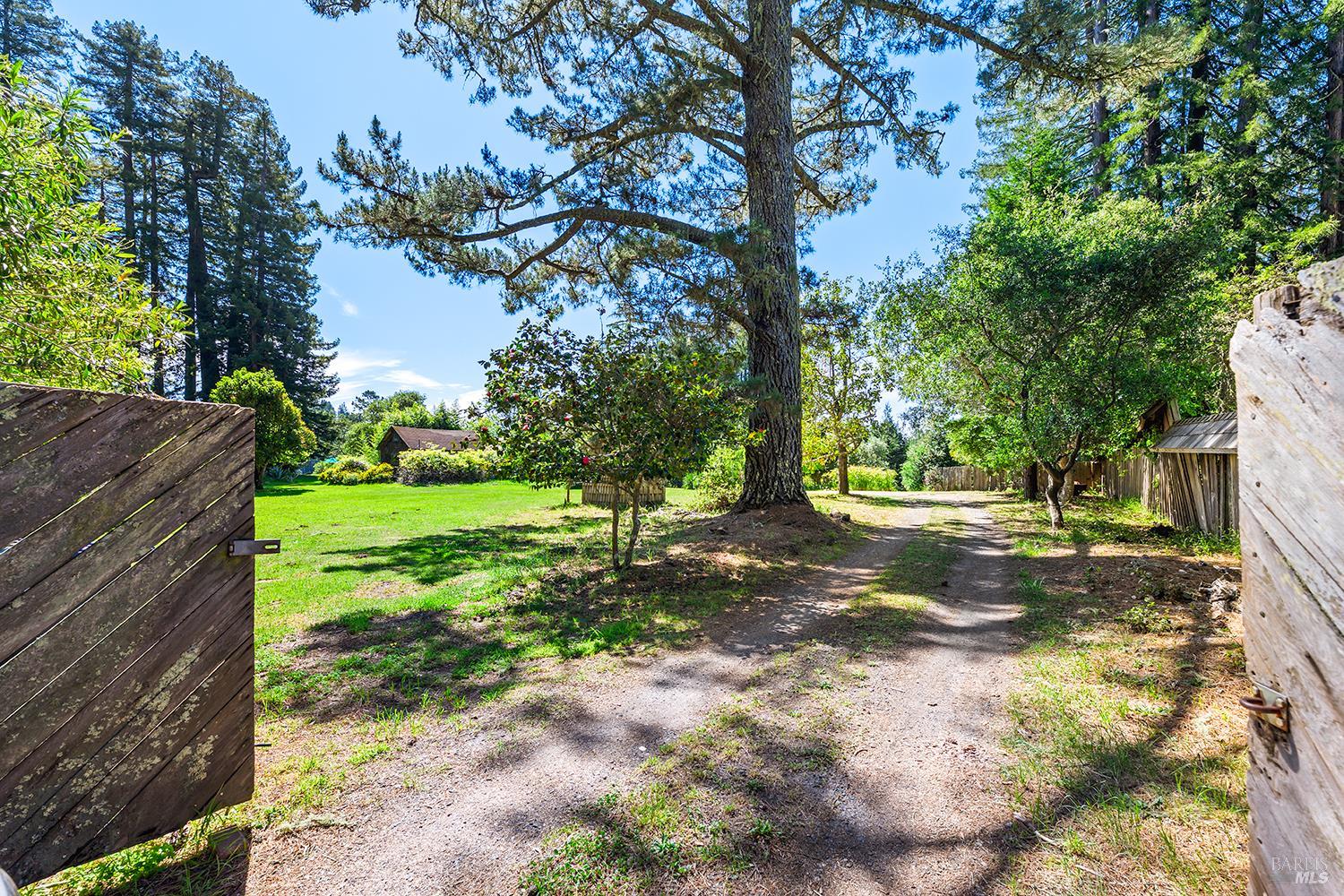 3580 Joy Road Occidental, CA 95465 - Photo 46 of 49