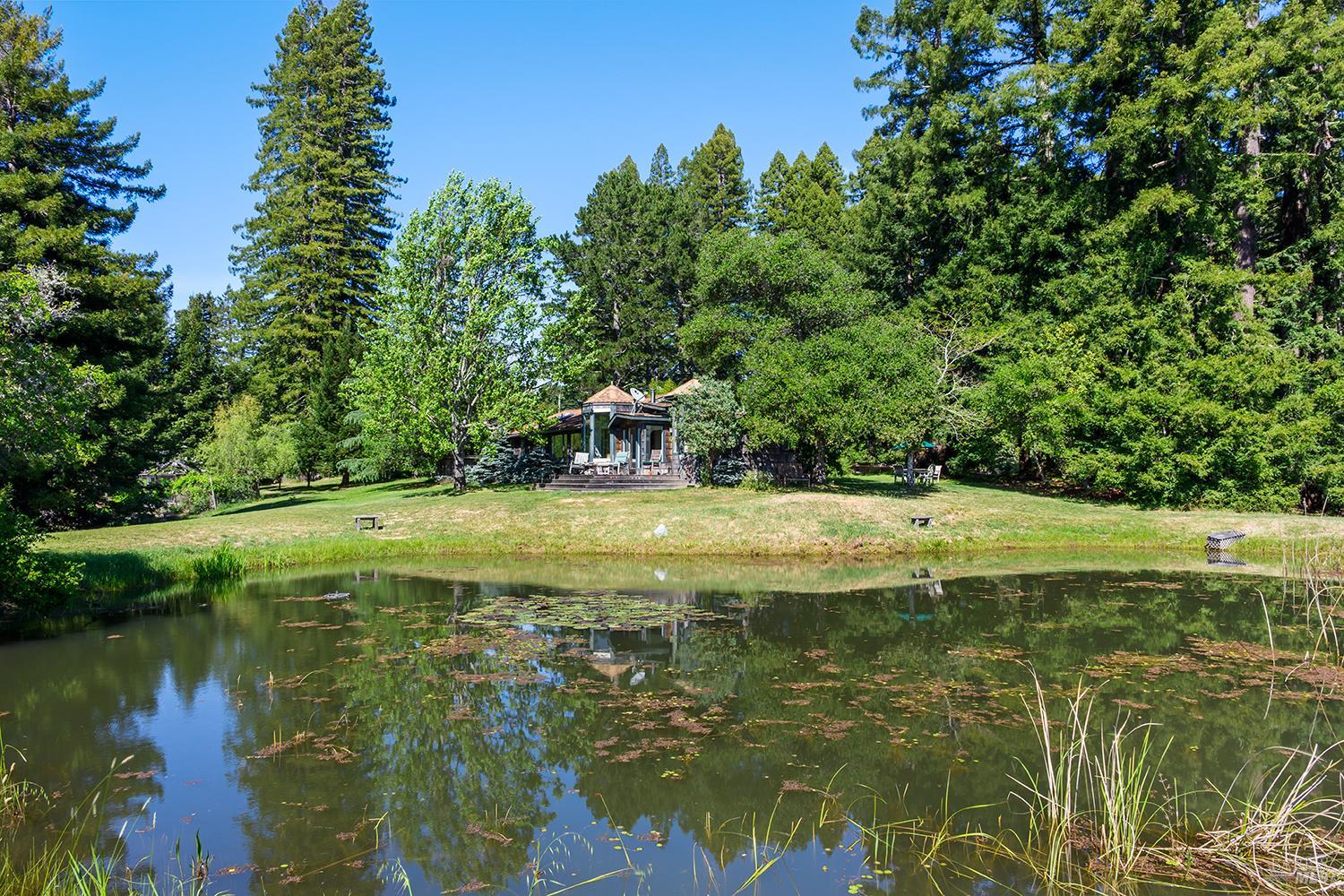 3580 Joy Road Occidental, CA 95465 - Photo 9 of 49