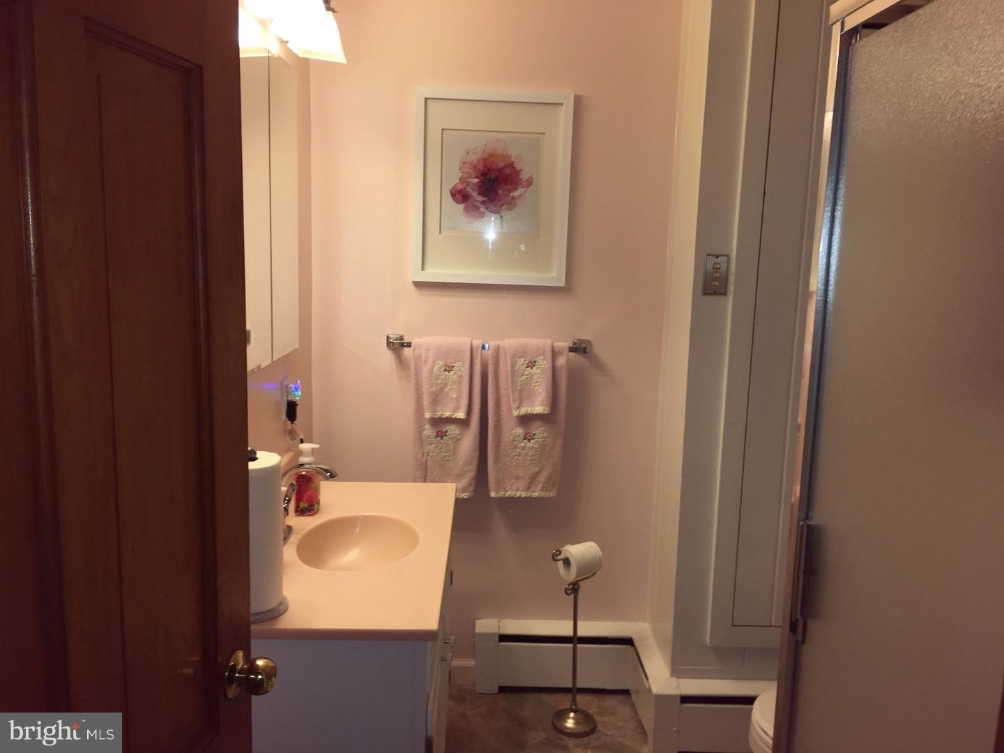 825 Rock Run Road Pottstown, PA 19465 - Photo 11 of 25 Bathroom