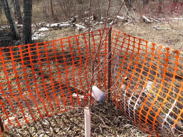 $349,000 | 9223 Highway 61, Schroeder, MN 55613