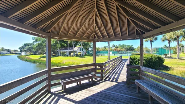 a view of a yard with plants and large trees