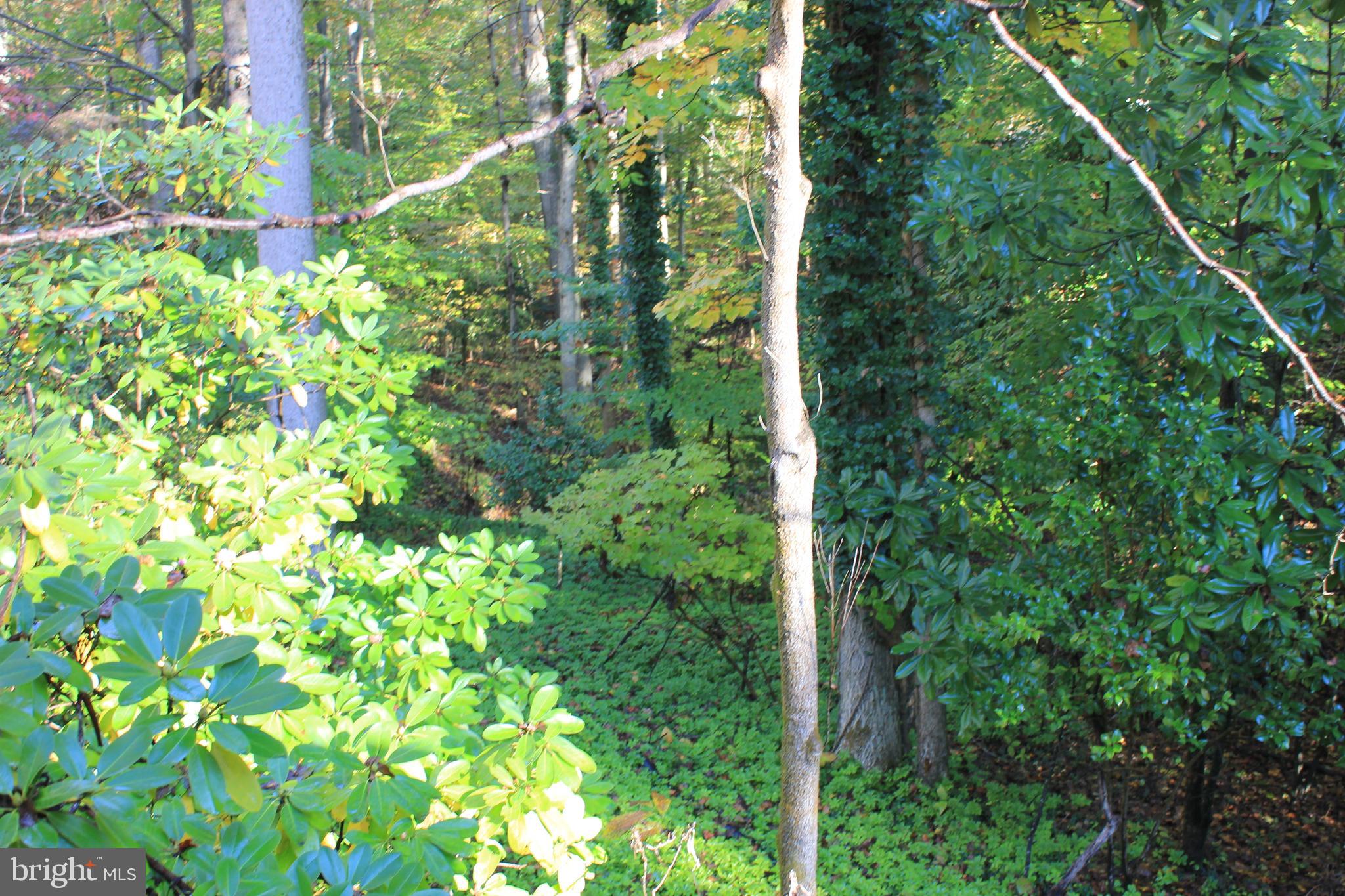 5510 Stephen Reid Road Huntingtown, MD 20639 - Photo 30 of 59 a view of a garden