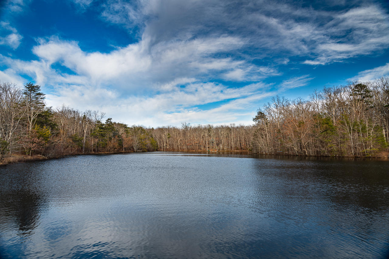 14 West Bluff Road Cloudland, GA 30731 - Photo 4 of 11 Fawn Lake