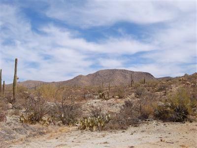 0 South Guild Road Marana, AZ 85653 - Photo 3 of 5