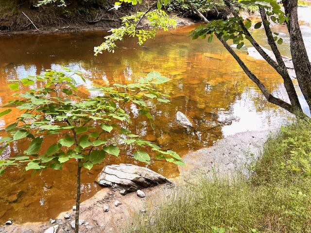 543 Knowlton Corner Road Farmington, ME 04938 - Photo 13 of 21 IMG_0933