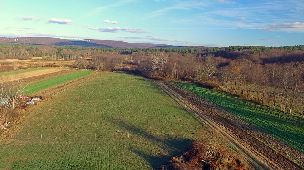 1730 South East Street Amherst, MA 01002 - Photo 3 of 30