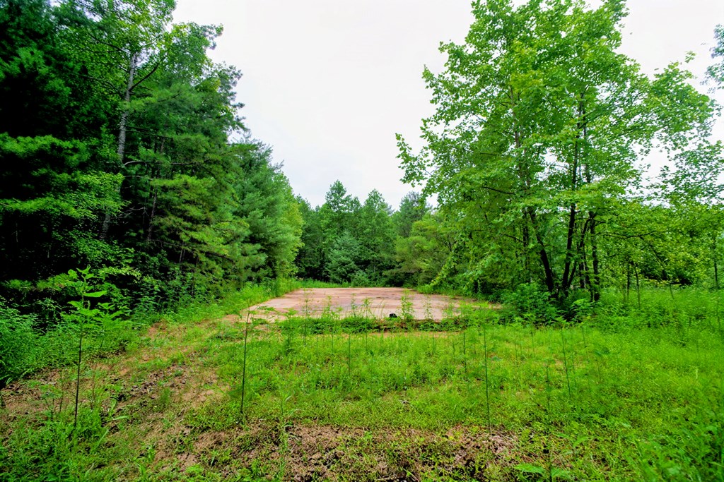 0 Flea Mountain Road Murphy, NC 28906 - Photo 29 of 54