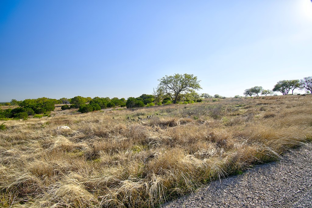 109 Hubble Lane Kerrville, TX 78028 - Photo 16 of 22 a view of a dry yard with trees