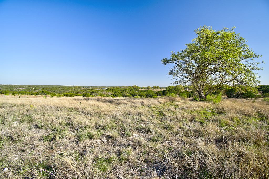 109 Hubble Lane Kerrville, TX 78028 - Photo 2 of 22 a view of a yard with an ocean and trees