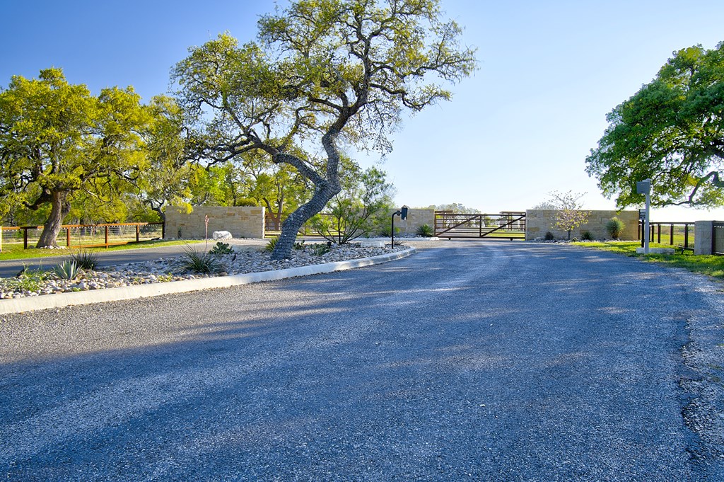 109 Hubble Lane Kerrville, TX 78028 - Photo 6 of 22 a view of a yard with an tree