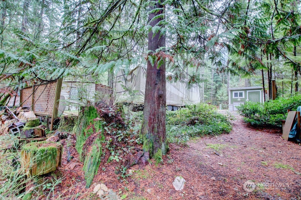 84-1 Goldrush Road Deming, WA 98244 - Photo 10 of 35 Gallery Image 10