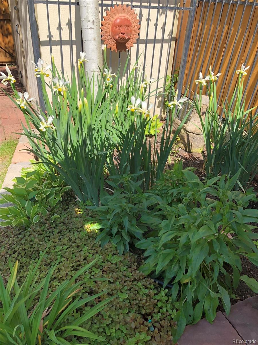 2718 Java Court Denver, CO 80211 - Photo 32 of 37 Gallery Image 32