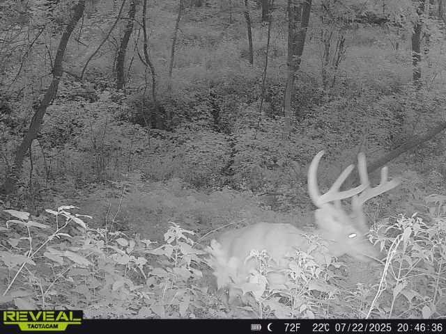 Tbd 48th Street Northeast Rochester, MN 55906 - Photo 19 of 27