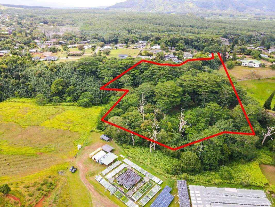 37 Omao Road Koloa, HI 96756 - Photo 29 of 29