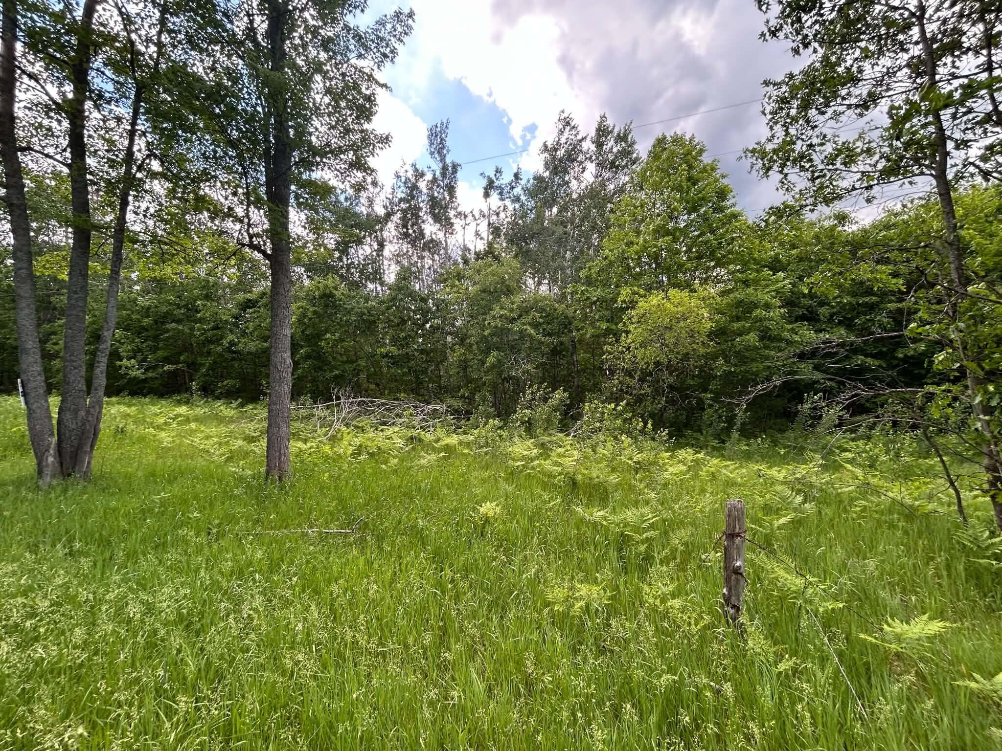 2 Weaver Road Comins, MI 48619 - Photo 1 of 4 Gallery Image 1