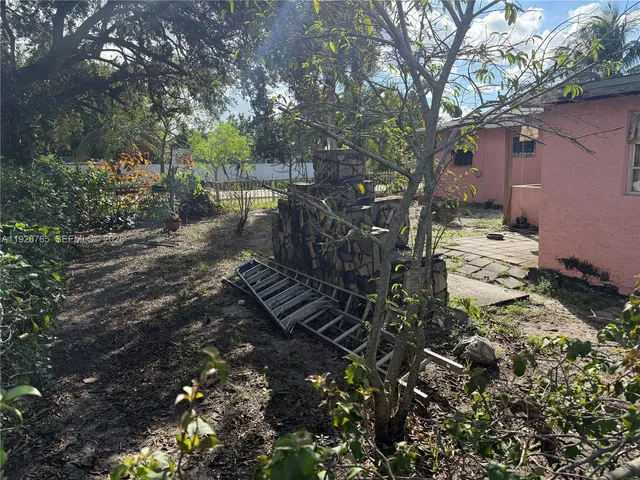 a view of a yard with plants and large trees