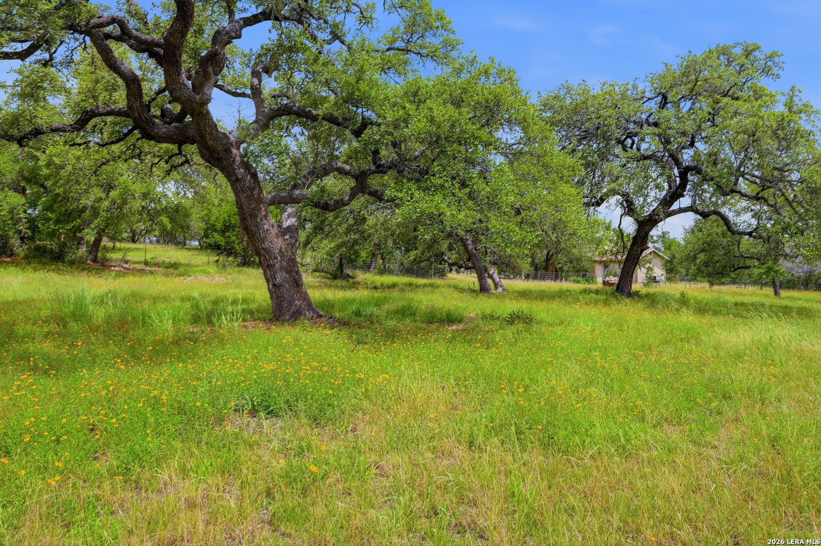 5621 Ranch Road 32 Blanco, TX 78606 - Photo 5 of 42